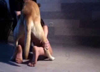 Sensual doggy and a hot female enjoy bestiality XXX