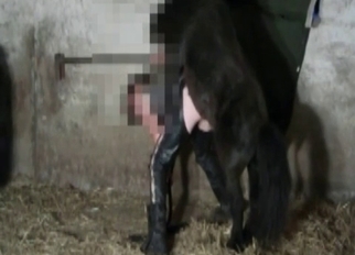 Amazing hottie fucked by small pony