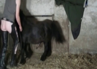 Amazing hottie fucked by small pony