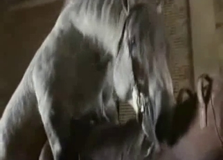 Sexy stallion in amazing bestiality XXX action
