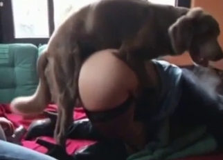 Big-ass chick likes her amazing doggy dick