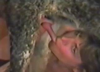 Good brunette sucks a massive stallion sex