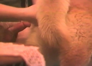 Hard cock for a lovely trained animal