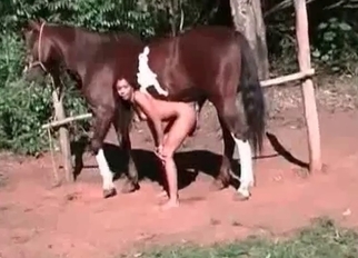 Sexy redhead and extremely horny stallion
