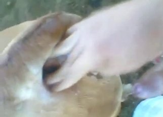 Insane anal with a guy who fucks his slutty cow