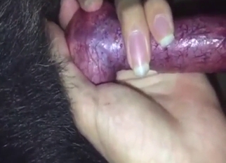 Dog's red throbber getting jerked off by a guy