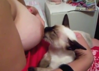 Zoo porn shows a fucked-up lady breastfeeding cat