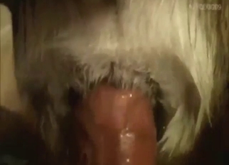 Zoo porn with a slutty beast taking hard penis