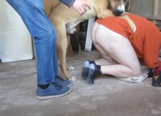 Zoo sex with a round-assed hottie who fucks dog