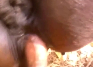 Fat cunt mare getting fucked by a horny dude
