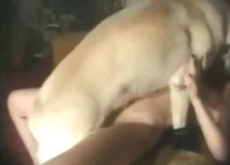 Zoo sex in missionary with a wet slit