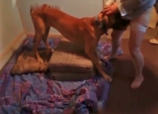 My dog nicely licks my pussy in bed
