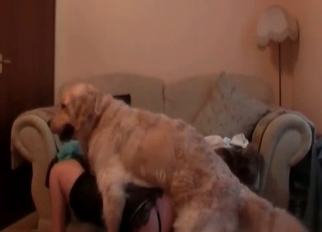 Dancing hottie and passionate zoophile slut