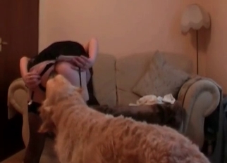 Dancing hottie and passionate zoophile slut