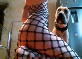 Good and trained retriever fucked my cunt