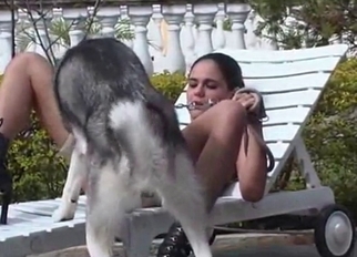 Husky licks a wide-opened shaved vagina