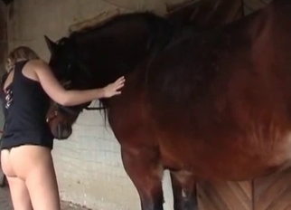 Blonde zoofil and trained big horse