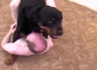 Trained black dog fucked his tight anus