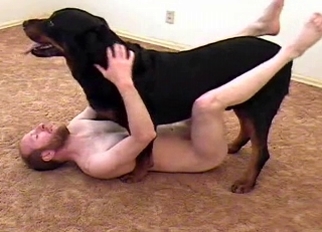 Trained black dog fucked his tight anus