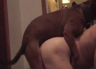 Good trained doggy licks a loaded sausage