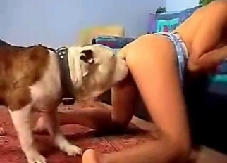 Pitbull Fucking A Girl